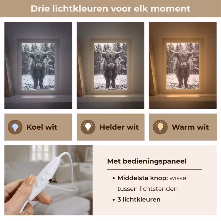 Schotse hooglander - Zwart - Wit - Sneeuwvlokken Light Box met kabel (Tafellamp) klein -USP_lichtkleurNL