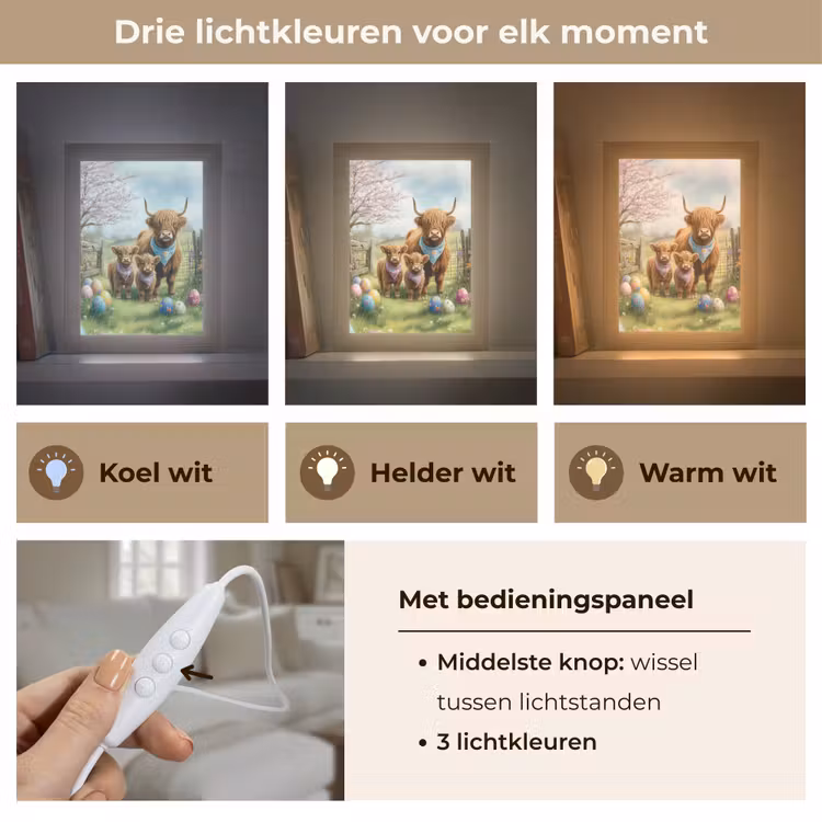 Schotsehooglanders - Paaseieren - Lente Light Box met kabel (Tafellamp) klein -USP_lichtkleurNL