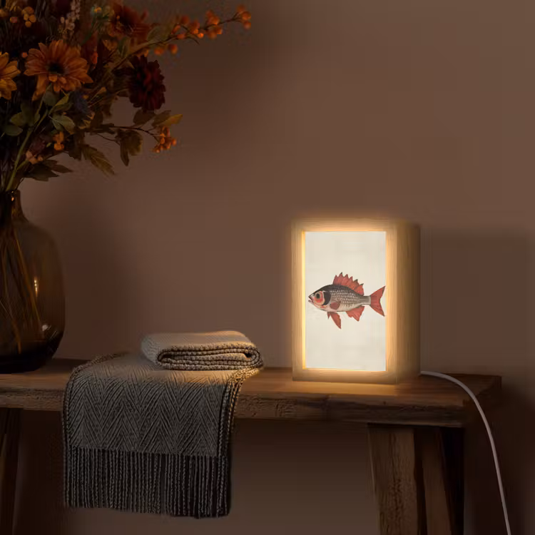Schubben - Rood - Vis - Vinnen Light Box met kabel (Tafellamp) klein -sfeer4