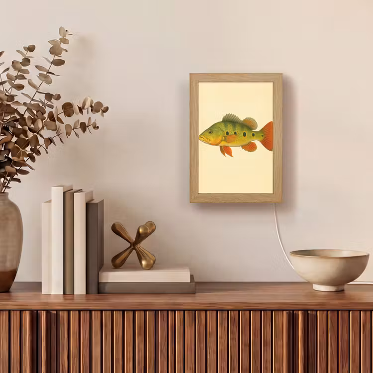 Schubben - Vis - Groen - Illustratie Light Box met kabel (Tafellamp) klein -sfeer2