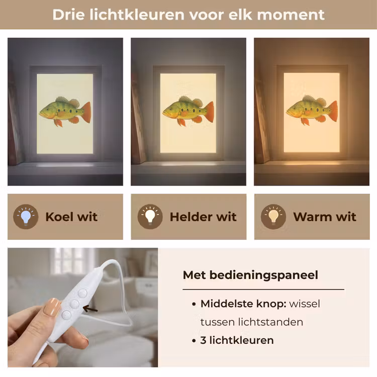 Schubben - Vis - Groen - Illustratie Light Box met kabel (Tafellamp) klein -USP_lichtkleurNL