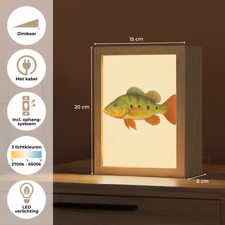 Schubben - Vis - Groen - Illustratie Light Box met kabel (Tafellamp) klein -USP_NL