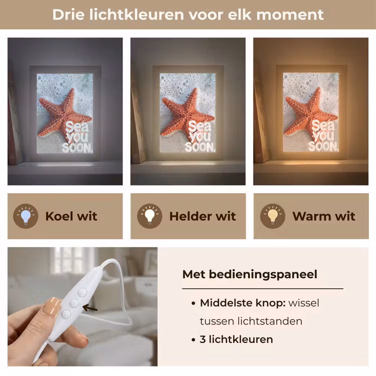 Sea you soon - Zeester - Zee Light Box met kabel (Tafellamp) klein -USP_lichtkleurNL