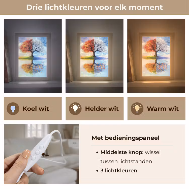 Seizoenen - Kunst - Boom - Winter - Herfst Light Box met kabel (Tafellamp) klein -USP_lichtkleurNL