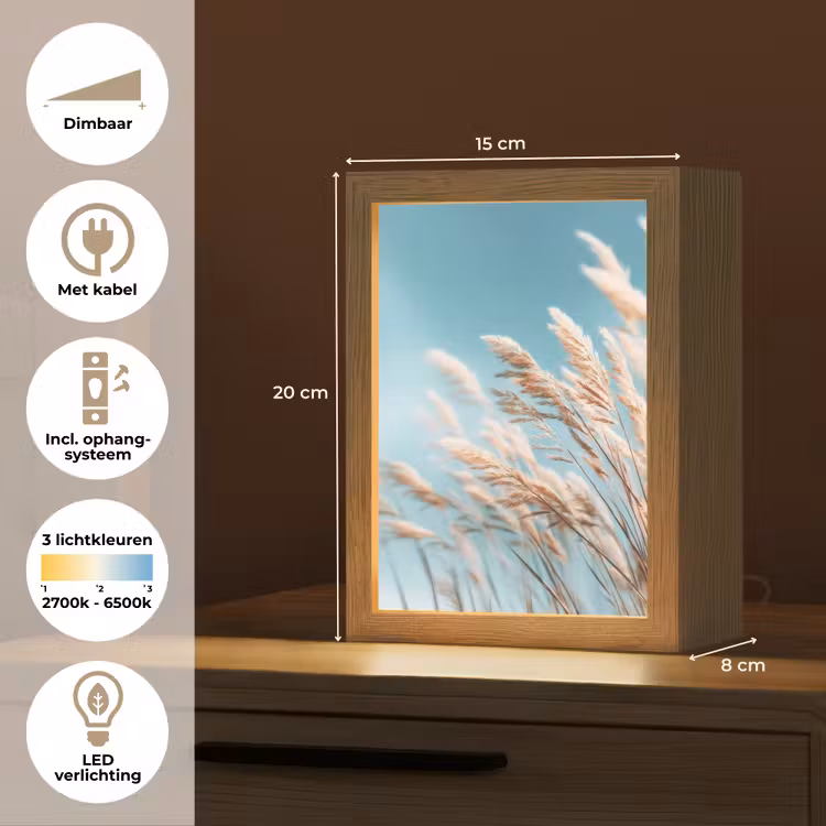 Siergras - Wind - Lichtbruin Light Box met kabel (Tafellamp) klein -USP_NL
