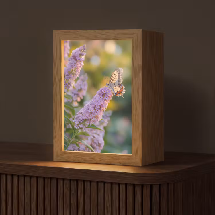 Sierlijke - Vlinder - Paarse - Bloemen Light Box met kabel (Tafellamp) klein -z3d_website