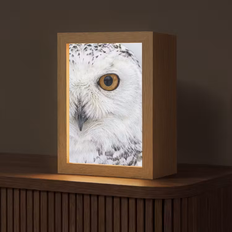 Sneeuwuil - Oog - Wildlife - Wit Light Box met kabel (Tafellamp) klein -z3d_website