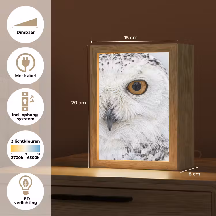 Sneeuwuil - Oog - Wildlife - Wit Light Box met kabel (Tafellamp) klein -USP_NL