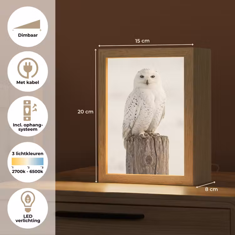 Sneeuwuil - Paal - Winter - Portret - Majestueus Light Box met kabel (Tafellamp) klein -USP_NL
