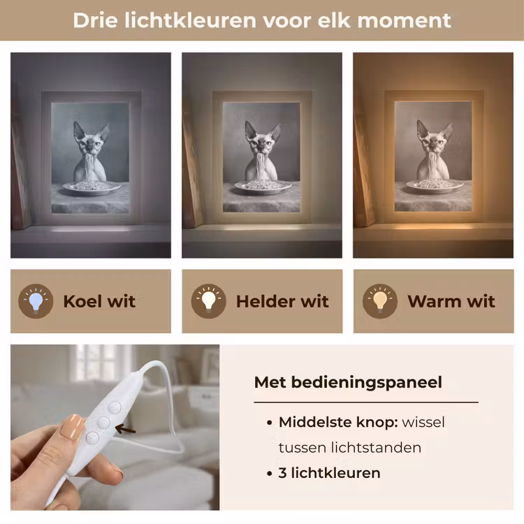 Sphynx - Kat - Dieren - Humor - Spaghetti - Zwart Wit Light Box met kabel (Tafellamp) klein -USP_lichtkleurNL