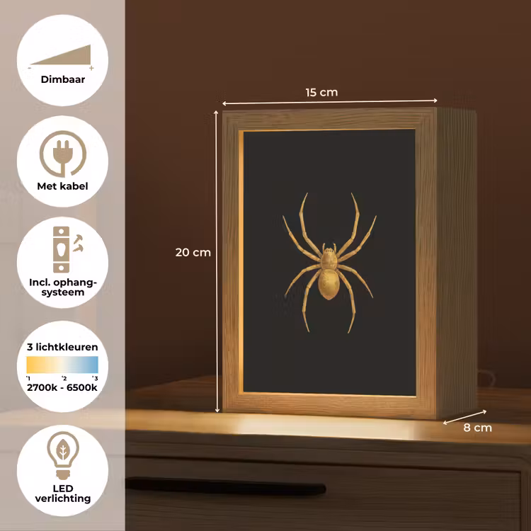 Spin - Goud - Minimalistisch - Poten Light Box met kabel (Tafellamp) klein -USP_NL