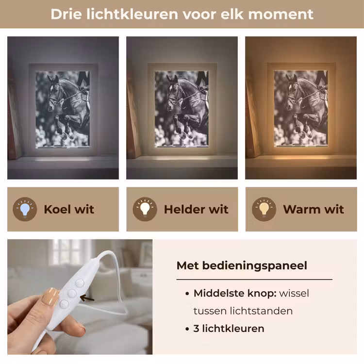 Springen - Paard - Zwart - Wit Light Box met kabel (Tafellamp) klein -USP_lichtkleurNL