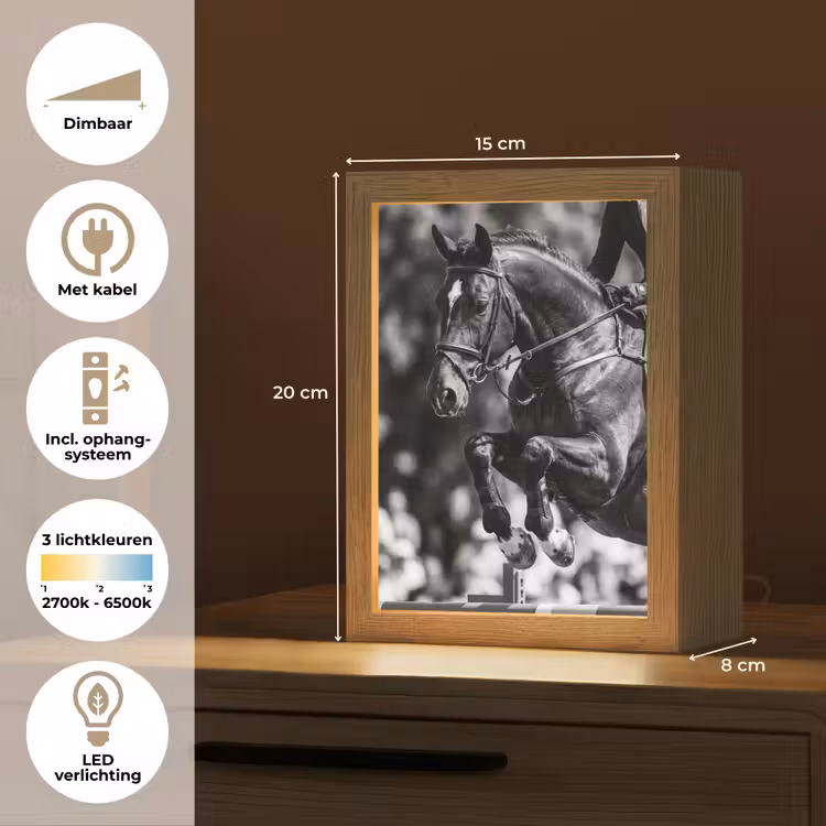 Springen - Paard - Zwart - Wit Light Box met kabel (Tafellamp) klein -USP_NL