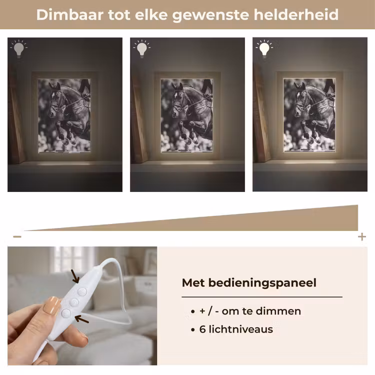 Springen - Paard - Zwart - Wit Light Box met kabel (Tafellamp) klein -USP_dimbaarNL