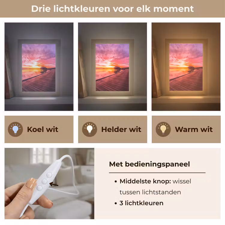 Steiger - Water - Zon - Roze - Horizon Light Box met kabel (Tafellamp) klein -USP_lichtkleurNL