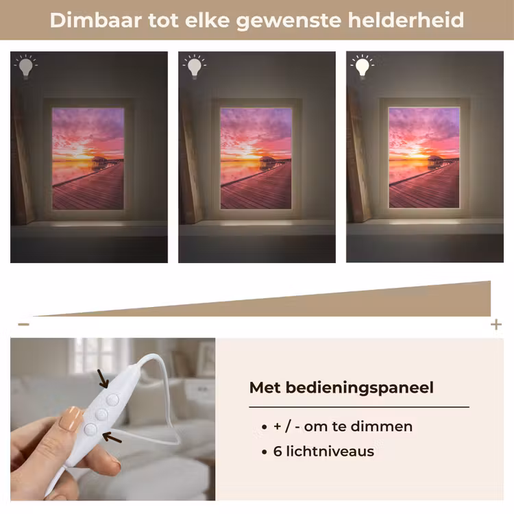 Steiger - Water - Zon - Roze - Horizon Light Box met kabel (Tafellamp) klein -USP_dimbaarNL