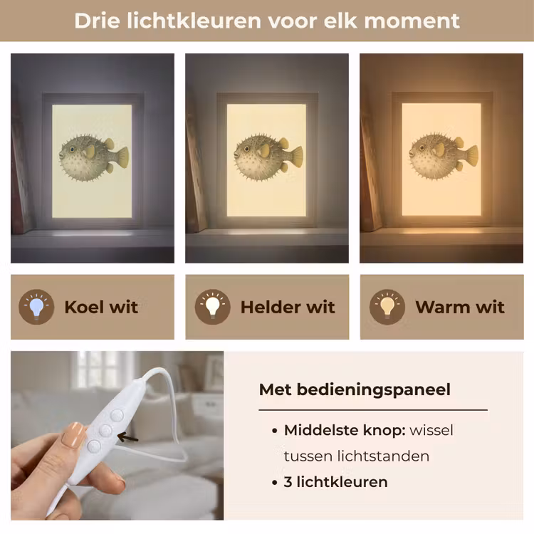Stekels - Vis - Opgeblazen - Bruin Light Box met kabel (Tafellamp) klein -USP_lichtkleurNL