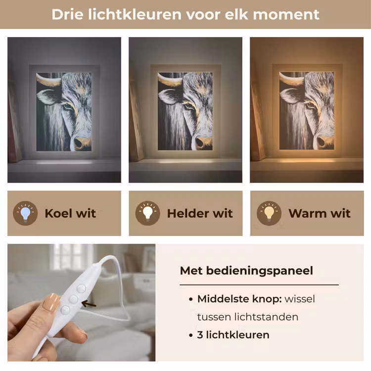 Stier - Hoorns - Snuit - Goud Light Box met kabel (Tafellamp) klein -USP_lichtkleurNL