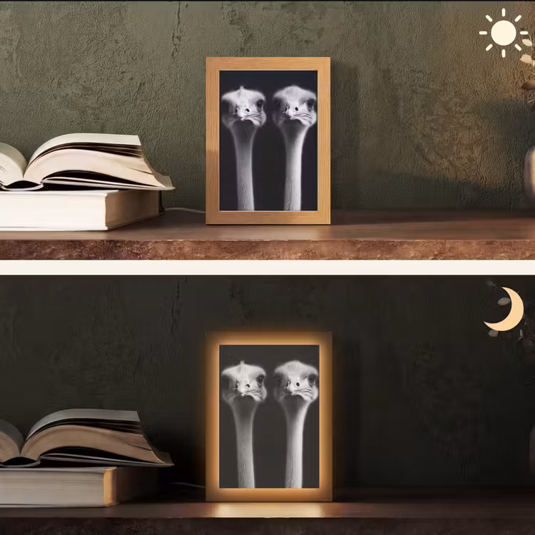 Struisvogels - Halzen - Zwart - Minimalistisch Light Box met kabel (Tafellamp) klein -sfeer3