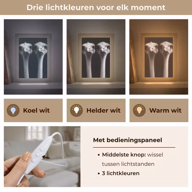 Struisvogels - Halzen - Zwart - Minimalistisch Light Box met kabel (Tafellamp) klein -USP_lichtkleurNL