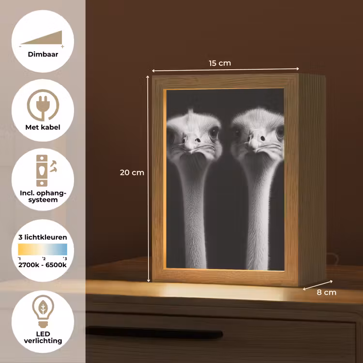 Struisvogels - Halzen - Zwart - Minimalistisch Light Box met kabel (Tafellamp) klein -USP_NL