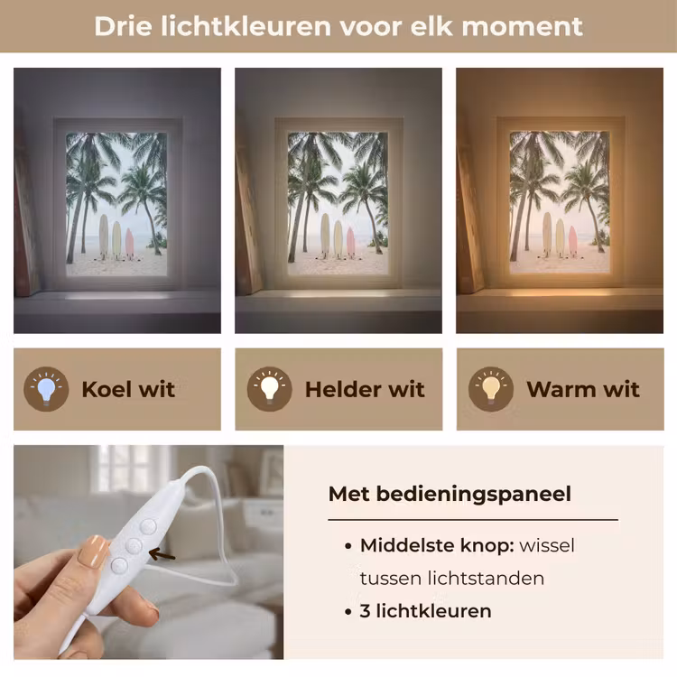 Surfboard - Palmbomen - Kleurrijk Light Box met kabel (Tafellamp) klein -USP_lichtkleurNL