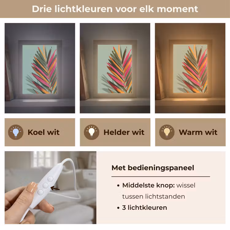 Tak - Bladeren - Kleurrijk - Schaduw Light Box met kabel (Tafellamp) klein -USP_lichtkleurNL