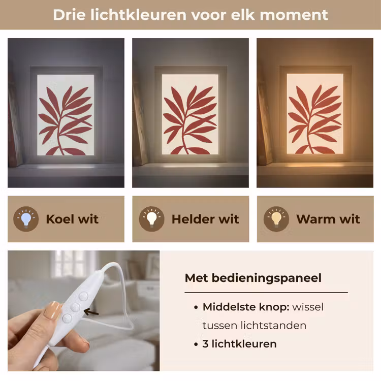 Tak - Bladeren - Rood Light Box met kabel (Tafellamp) klein -USP_lichtkleurNL
