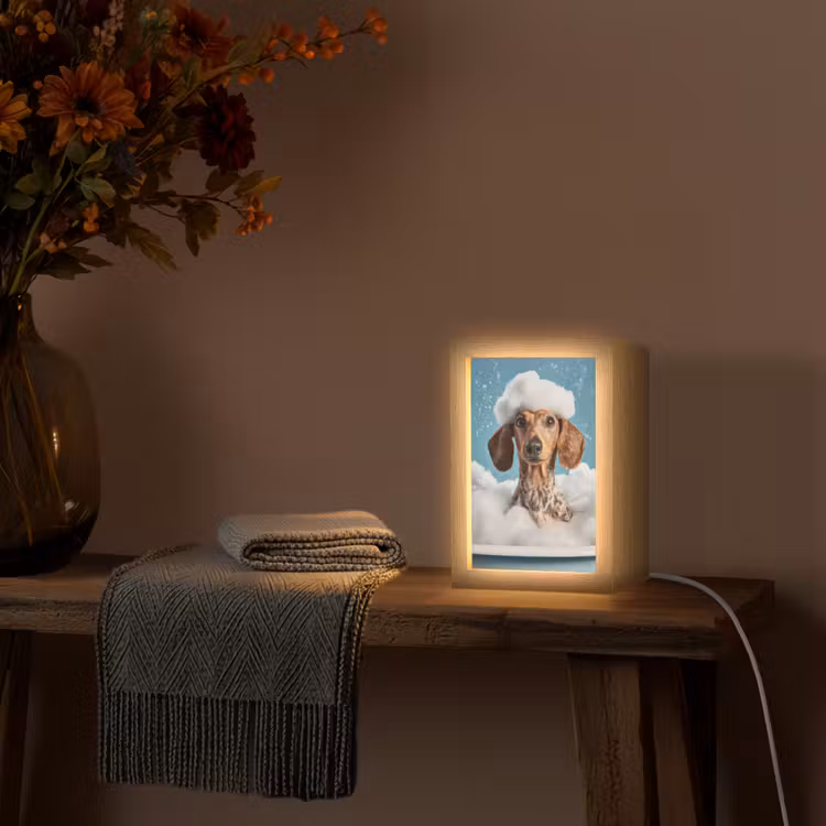 Teckel - Bad - Schuim - Waterdruppels Light Box met kabel (Tafellamp) klein -sfeer4