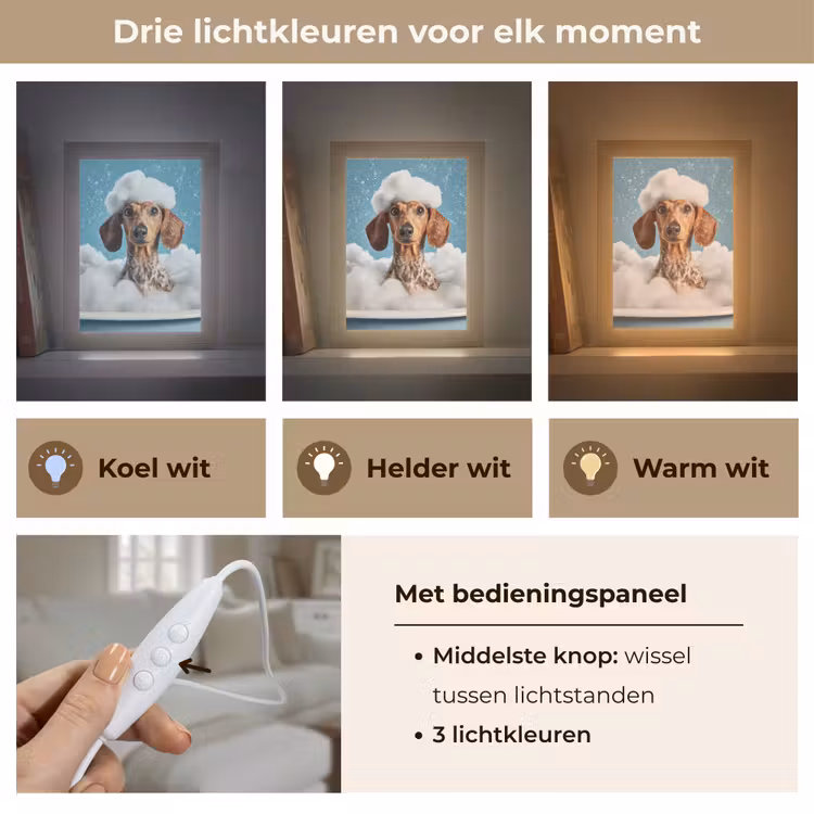 Teckel - Bad - Schuim - Waterdruppels Light Box met kabel (Tafellamp) klein -USP_lichtkleurNL
