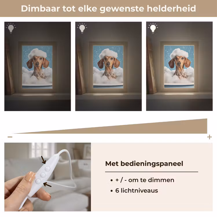 Teckel - Bad - Schuim - Waterdruppels Light Box met kabel (Tafellamp) klein -USP_dimbaarNL