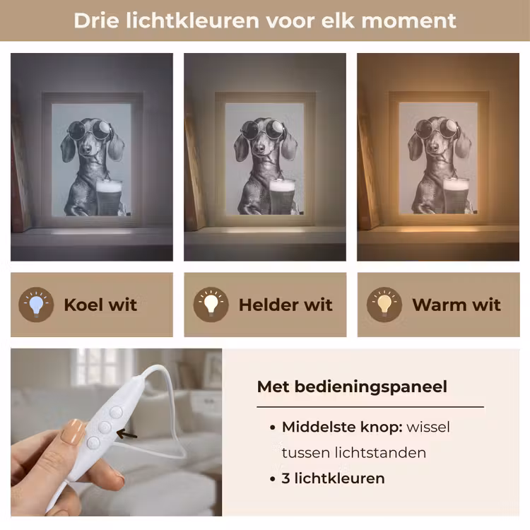 Teckel - Bier - Glas - Bril Light Box met kabel (Tafellamp) klein -USP_lichtkleurNL