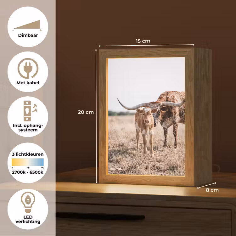 Texas Longhorn - Kalf - Weide - Dieren Light Box met kabel (Tafellamp) klein -USP_NL