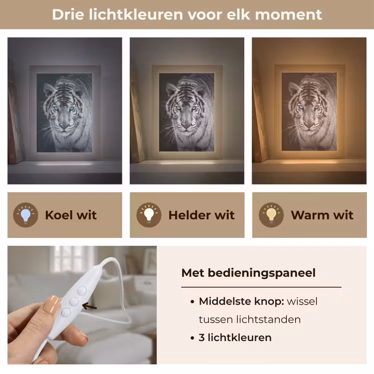 Tijger - Dier - Zwart - Blauw - Modern Light Box met kabel (Tafellamp) klein -USP_lichtkleurNL