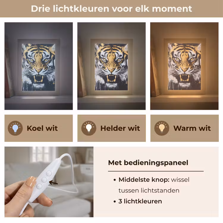 Tijger - Verfspatten - Goud Light Box met kabel (Tafellamp) klein -USP_lichtkleurNL