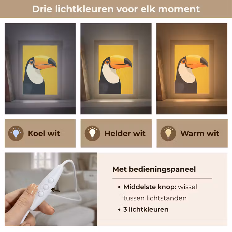 Toekan - Minimalistisch - Snavel - Oranje Light Box met kabel (Tafellamp) klein -USP_lichtkleurNL