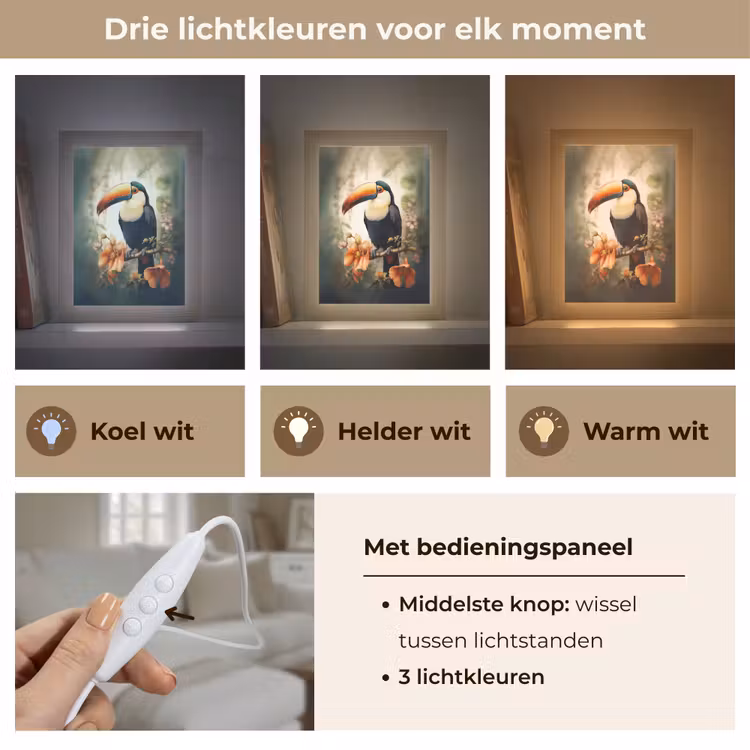Toekan - Vogel - Bloemen - Planten Light Box met kabel (Tafellamp) klein -USP_lichtkleurNL