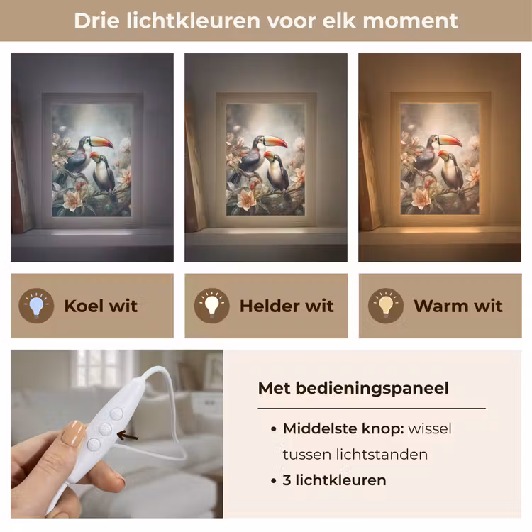 Toekan - Vogels - Bloemen - Jungle Light Box met kabel (Tafellamp) klein -USP_lichtkleurNL