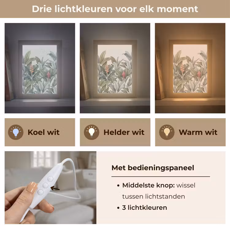 Tropisch - Planten - Modern - Groen Light Box met kabel (Tafellamp) klein -USP_lichtkleurNL