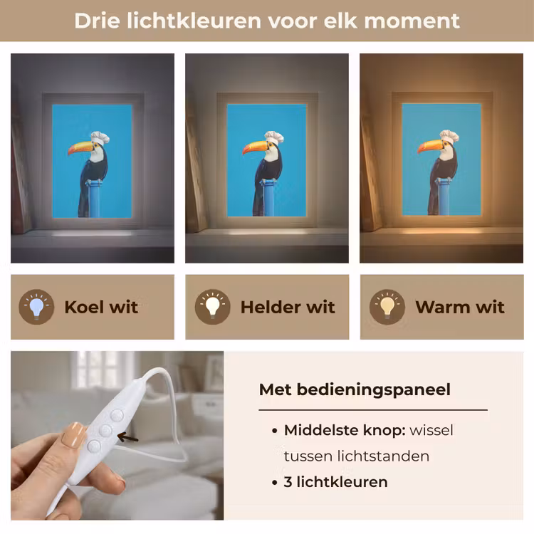 Tucan - Sokkel - Vogel - Koksmuts Light Box met kabel (Tafellamp) klein -USP_lichtkleurNL