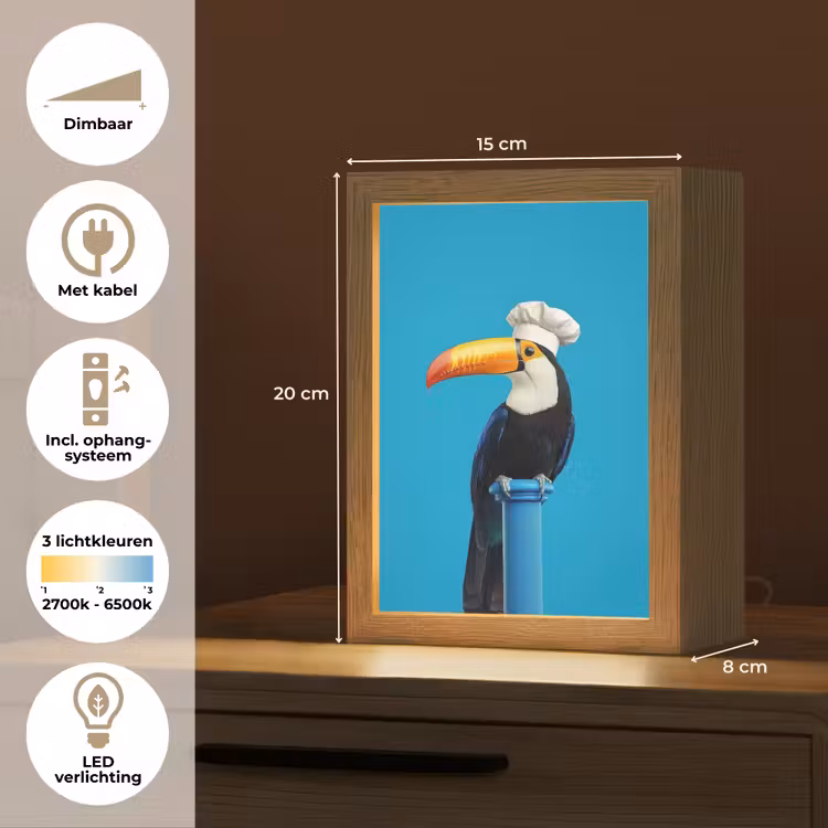 Tucan - Sokkel - Vogel - Koksmuts Light Box met kabel (Tafellamp) klein -USP_NL