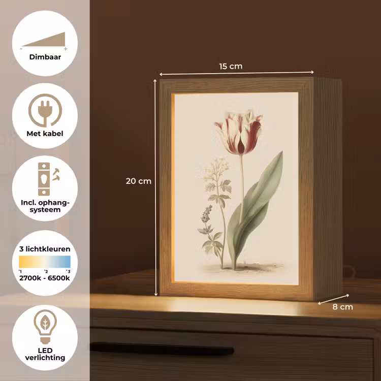 Tulp - Minimalistisch - Beige Light Box met kabel (Tafellamp) klein -USP_NL