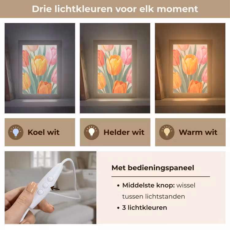Tulpen - Abstract - Kleurrijk Light Box met kabel (Tafellamp) klein -USP_lichtkleurNL