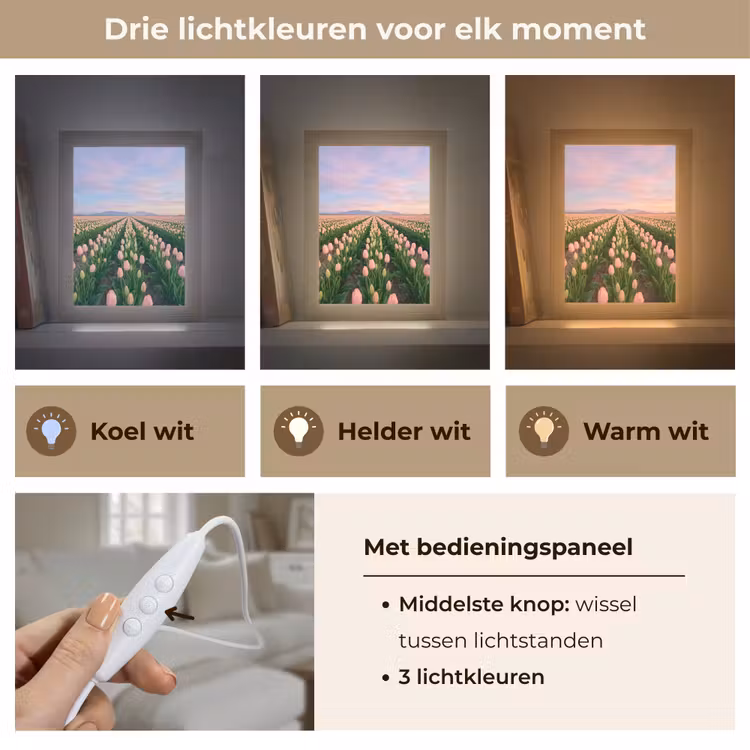 Tulpen - Landschap - Roze Light Box met kabel (Tafellamp) klein -USP_lichtkleurNL