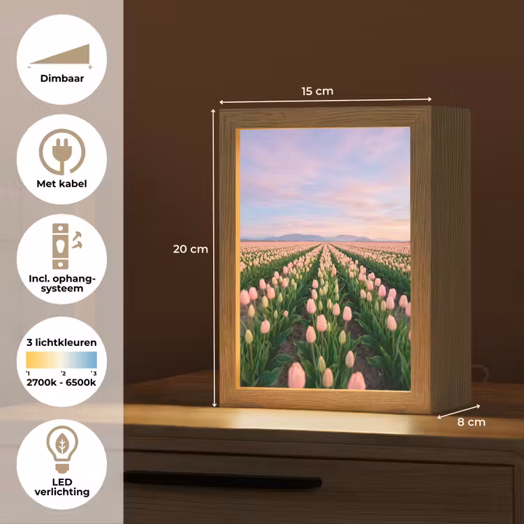 Tulpen - Landschap - Roze Light Box met kabel (Tafellamp) klein -USP_NL