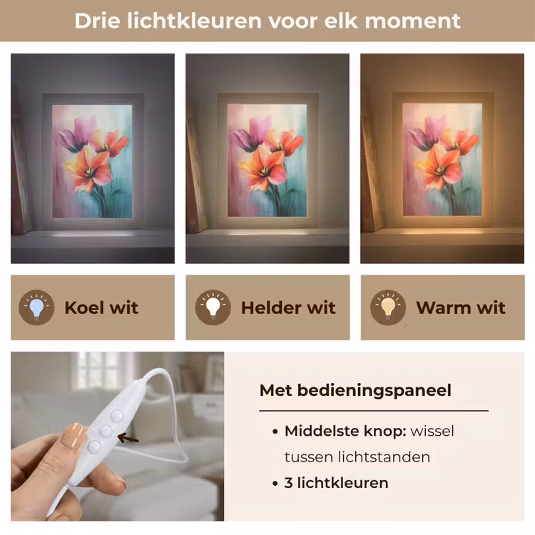 Tulpen - Lichtreflecties - Kleurverloop Light Box met kabel (Tafellamp) klein -USP_lichtkleurNL