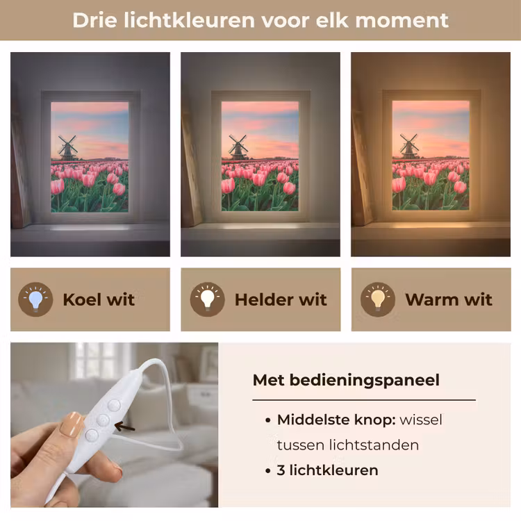 Tulpen - Molen - Nederland Light Box met kabel (Tafellamp) klein -USP_lichtkleurNL