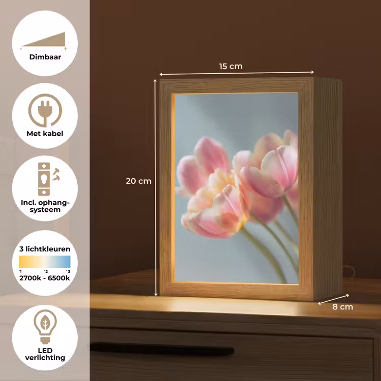 Tulpen - Roze - Stelen Light Box met kabel (Tafellamp) klein -USP_NL