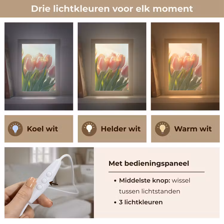 Tulpen - Roze - Zonnestralen Light Box met kabel (Tafellamp) klein -USP_lichtkleurNL