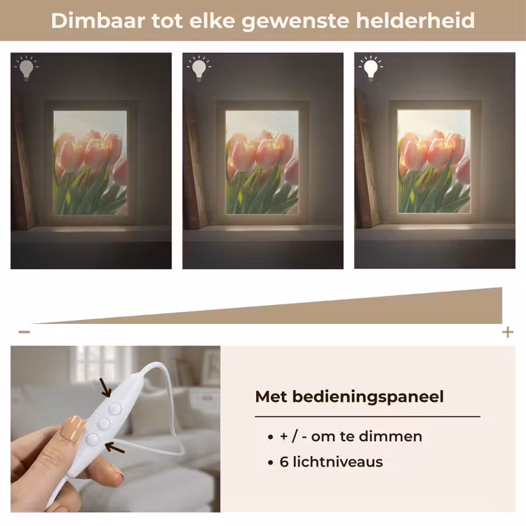 Tulpen - Roze - Zonnestralen Light Box met kabel (Tafellamp) klein -USP_dimbaarNL